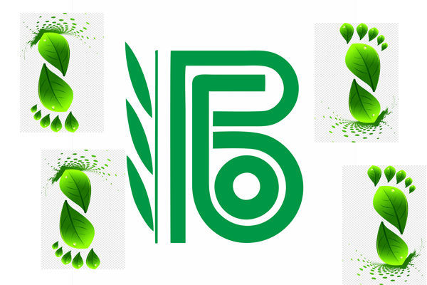 RBO 05 2022