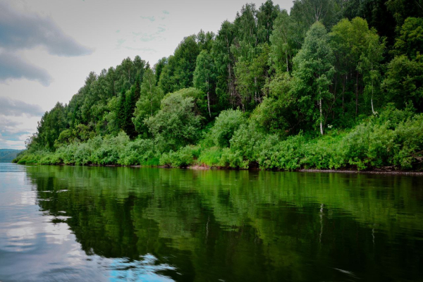 itogi Kochanovskaya